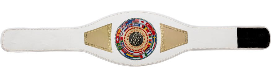 WRESTLING CHAMPIONSHIP BELT PROFLAG2/FLAG/G/WRESTGEM - VARIETY OF LEATHER COLOURS AVAILABLE WRESTLING CHAMPIONSHIP BELT PROFLAG2/FLAG/G/WRESTGEM - VARIETY OF LEATHER COLOURS AVAILABLE